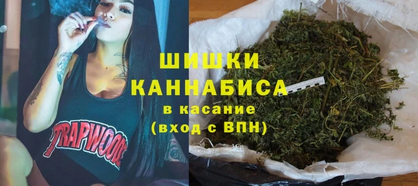 молекула духа Кулебаки