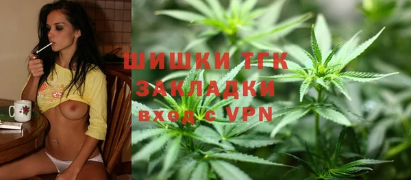 молекула духа Кулебаки