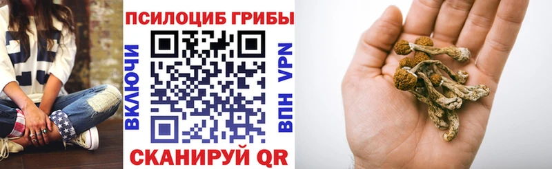что такое наркотик  Волгоград  Псилоцибиновые грибы MAGIC MUSHROOMS 