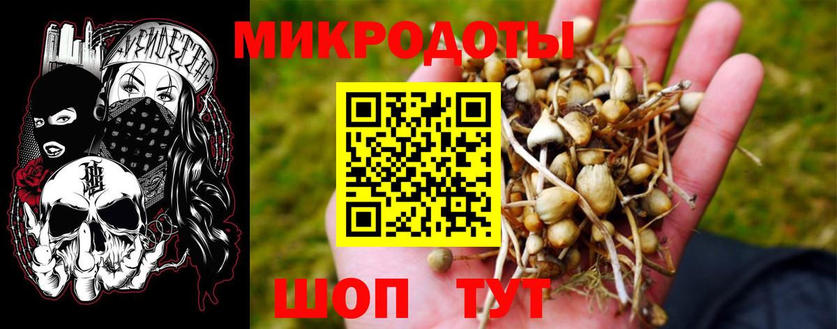 Галлюциногенные грибы мицелий  Псилоцибиновые грибы Magic Shrooms  Волгоград 