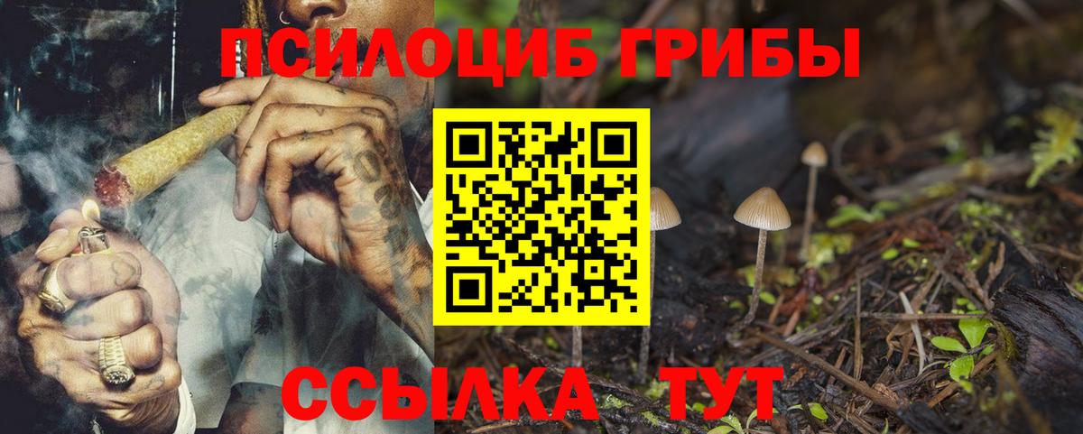 Псилоцибиновые грибы Psilocybine cubensis Волгоград