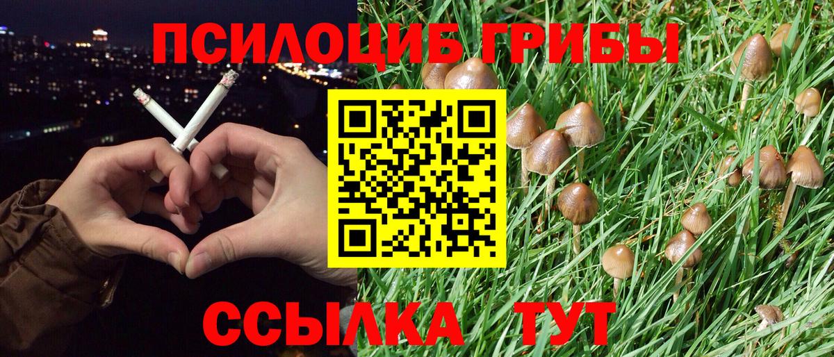 Галлюциногенные грибы MAGIC MUSHROOMS  Галлюциногенные грибы Psilocybe  Вход с VPN  Волгоград 