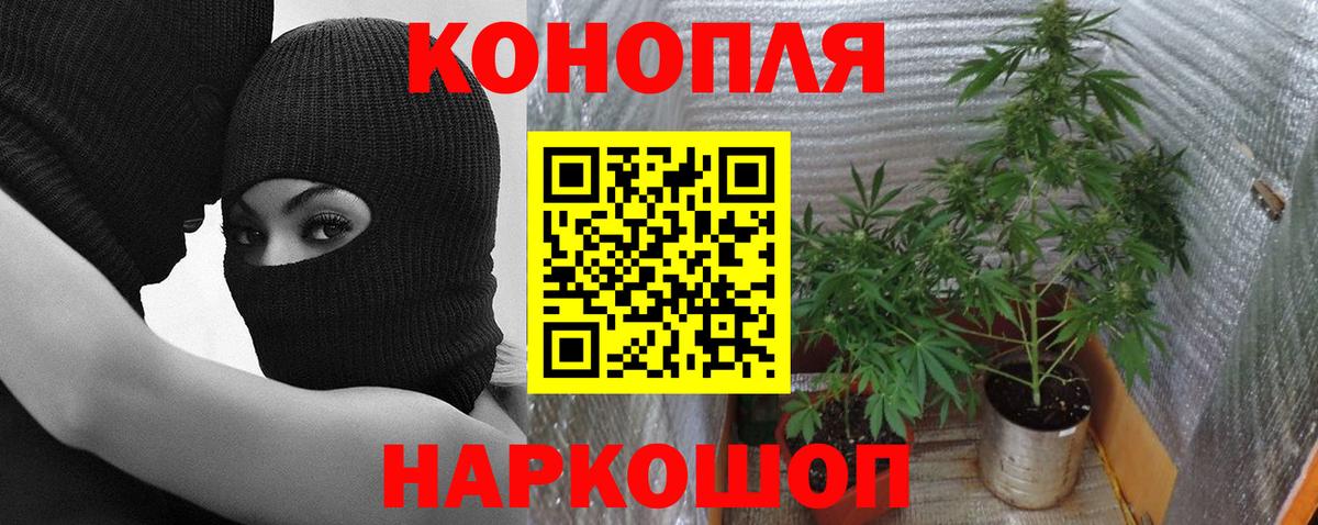 Марихуана гибрид  Конопля SATIVA & INDICA  Вход с VPN  Волгоград  Канабис конопля 